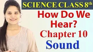 How Do We Hear? Chapter 10 - Sound - Science Class 8, CBSE