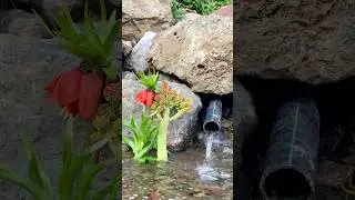 Sound and Beauty of the Kurdistan Nature in Spring 2025. #shorts #nature #music