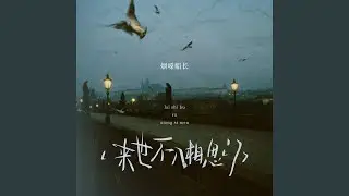 来世不入相思门