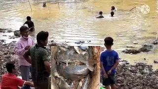 Traditional of Cambodain net fishing in the river