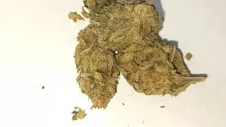 Chesse Cake 🧀 CBD - La Verte Feuille