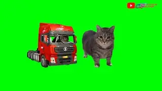 SPINNING CAT TRUCK LOOP | SATISFYING BEAT SYNC ANIMATION (9 MINUTES)