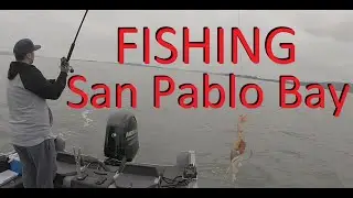 Fishing for Sturgeon BUT Catching lots of Stripers @ San Pablo Bay SF