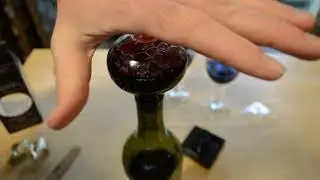 Soiree In Bottle Wine Aerator Review