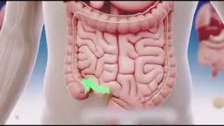 Metformin Tab Pharmacology