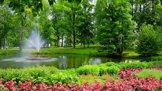 🌺🌲 SPRING GARDEN AMBIENCE | 3 HOURS 🌸🌳🌻