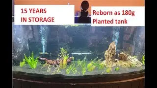 Setting up a 180 Gallon planted tank, My first aquascape