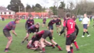 PGS v Brighton, 14 1 17