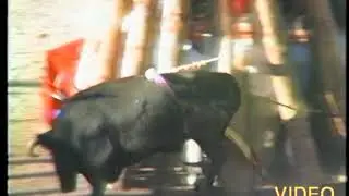 Toros 1.988 Garrovillas de Alconétar