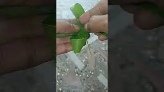 Cocunut leaf  flower #shorts