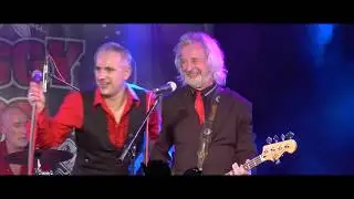 Shaggy Dogs - Swingin&rsquo; High & Low