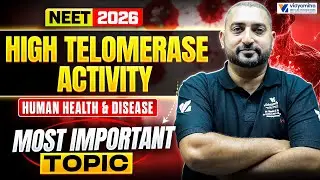 What Is High Telomerase Activity | Human Health & Disease Class 12 | NEET 2026 Biology