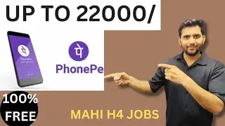 Business Development Executive Opportunity at PhonePe | Apply Now in Delhi NCR