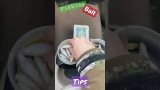 Ice Fishing Bait Tips Hacks