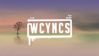 Skylike - You [No Copyright Song]