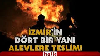 HALK TV YANGIN BÖLGESİNDE! İzmir resmen felaketi yaşıyor! Şehrin dört bir yanı alevlere teslim oldu!