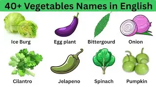All Vegetable Names in English| Easy English for everyone | Improve you English