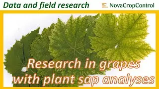 Unlocking plant sap analyses potential in grapes after research done by NovaCropControl.
