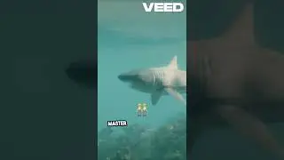 Epic Showdown  Apex Predators Battle!