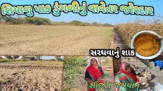 ડુંગળી નું વાવેતર કેવું છે જેતપરડા //સરઘવાનું શાક બનાવ્યું😊// dungri Nu vavethr // how to make 