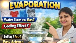 What Is Evaporation? Factors, Cooling Effect & Daily Life Examples