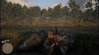 RDR2 - Author and Sadie, hot air balloon crash