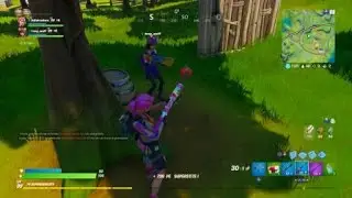 Bug 