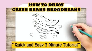 How to Draw Green Beans | Broadbeans