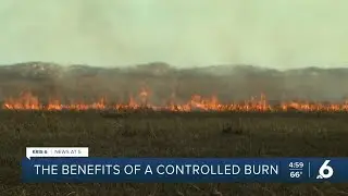 Controlled burn at PINS has its benefits
