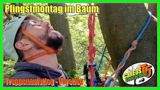 Geocaching T5 - CanEOS@Pfingstmontag im Wald | Treppenaufstieg | Vorstieg | 4k |
