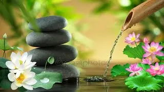 Relaxing music, Relief stress, Heals the mind, Beautiful Relaxing Music