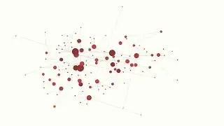 Dynamic Network