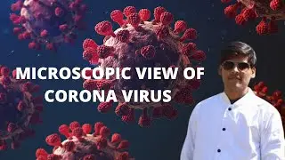 CORONA VIRUS II MICROSCOPIC VIEW OF CORONA VIRUS II #CORONAVIRUS #MICROSCOPICVIEW #ANIMATION