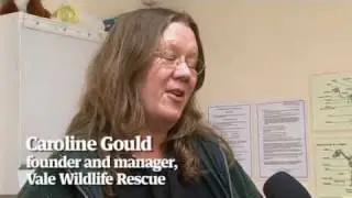 Saving wild animals