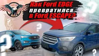 Как Ford EDGE превратился в Ford ESCAPE? 2019 г. Титаниум 2.0 л. 16812 миль [авто из сша под ключ]