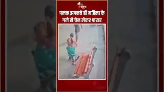 Chennai Chain Snatching: पलक झपकते ही महिला के गले से चेन लेकर फरार | Viral Video | CCTV Footage
