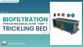 Bio Filtration-Trickling Bed