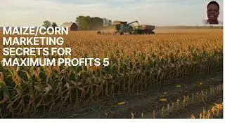 MAIZE MARKETING SECRETS FOR MAXIMUM PROFITS 5: Tutorial: Florence Alimo: Living Hope Mixed Farm: sub