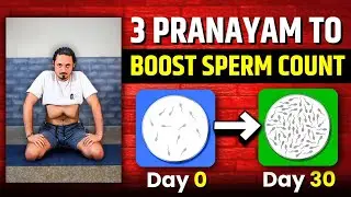 प्रजनन क्षमता बढ़ाने के ये 3 प्राणायाम करे | How To Incerse Sperm Count & Quality in Male Body