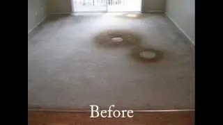 Carpet Cleaning Reno NV - Before and After