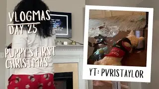 Vlogmas Day 25: Puppy&rsquo;s First Christmas + Family Karaoke 