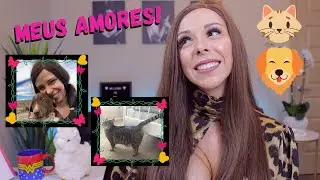 Como &eacute; adotar PET nos EUA