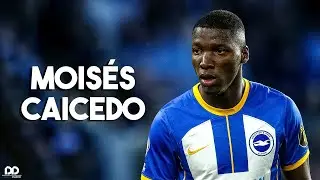 Moises Caicedo 2023 - Complete Midfielder | Skills/Tackles/Goals/Assists