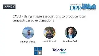 (Spotlight) P12 - CAVLI - Using Image Associations to Produce Local Concept-based Explanations