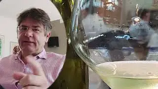 BOM VINHO ALEM&Atilde;O, PONTUADO E BEM EXPLICADO: ANSELMANN RIESLING TROCKEN 2018