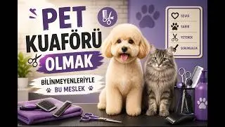 Pet Kuaförü Olmak | Bilinmeyenleriyle Bu Meslek