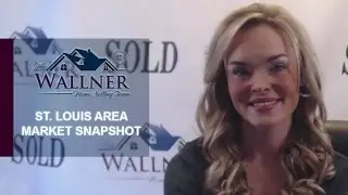 St. Louis Real Estate Agent: How Can You Take Advantage of Our Current Market?