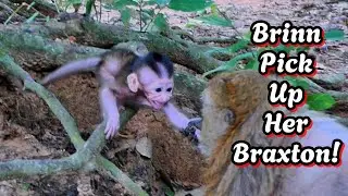 WOW! Sc@ry Moment! Brinn Quickly Picks Up Braxton, @monkeyscorner