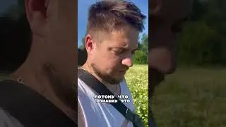 Ромашковое поле #poorman #юмор #приколы #шутка #прикол #смех #любовь