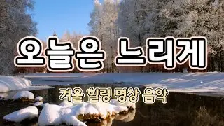 🌿오늘은 느리게｜겨울 힐링 명상 음악｜중년을 위한 숲 명상 🌱 매일 아침 9시 · 저녁 9시, 중년의 하루를 지켜주는 치유 명상｜#MeditationMusic 🍃#중년명상음악